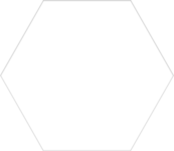 2225001-Hex-Basic.png
