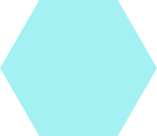 2225006-Hex-Basic.png